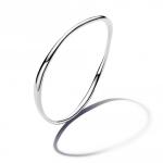 Sterling Silver Pandora Bangle